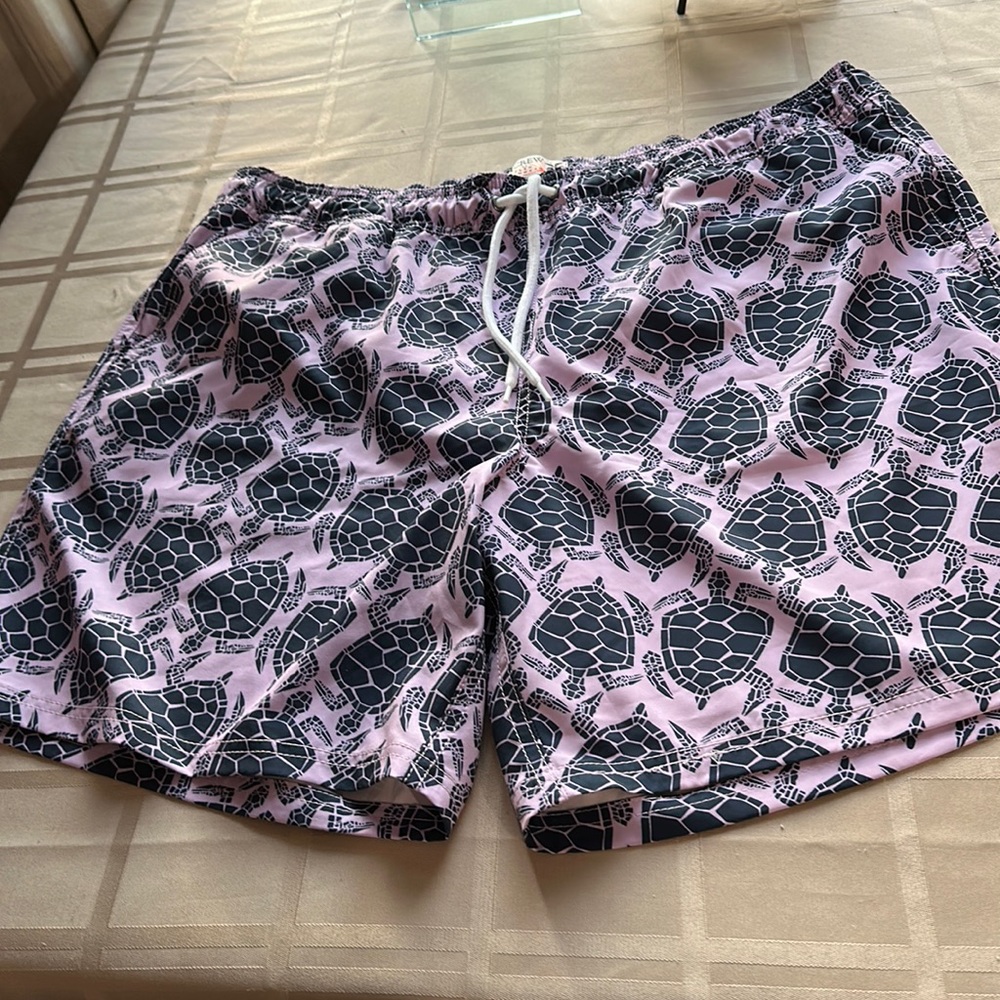 Mens J Crew Factory bathing suit